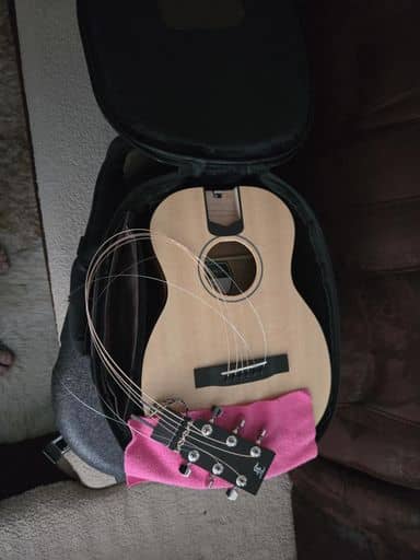 Furch Little Jane 10SM