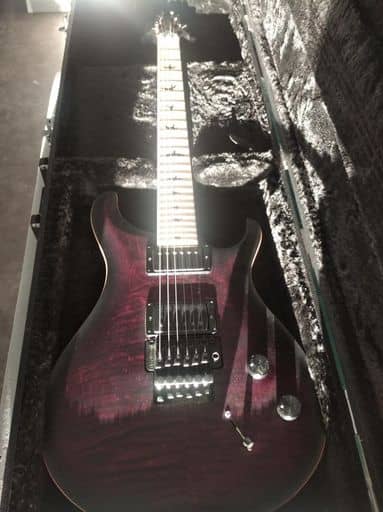 PRS Dustie Waring CE 24 FR.